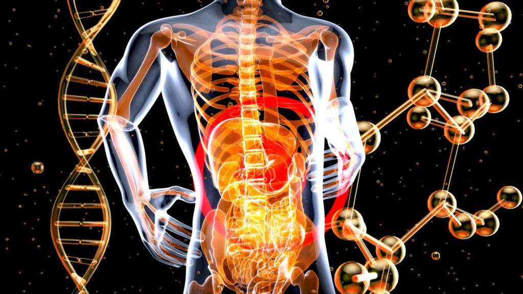 1What Is Vertical Sleeve Gastrectomy A Complete Beginner’s Guide (2